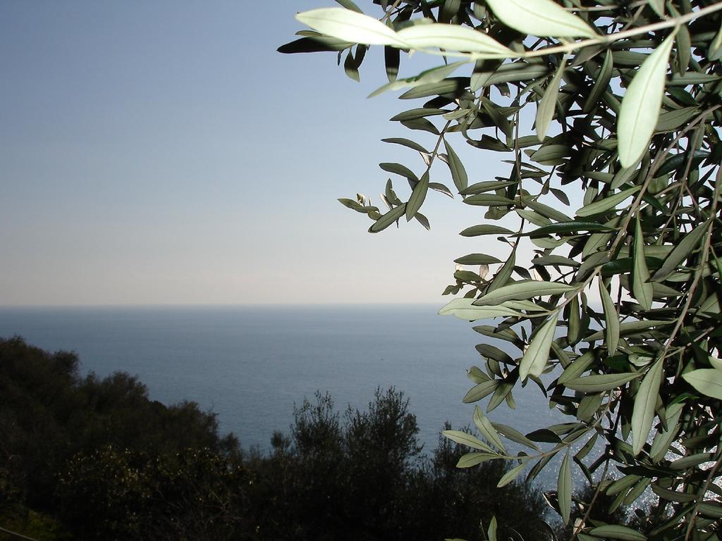 Villa Imperia Exterior photo
