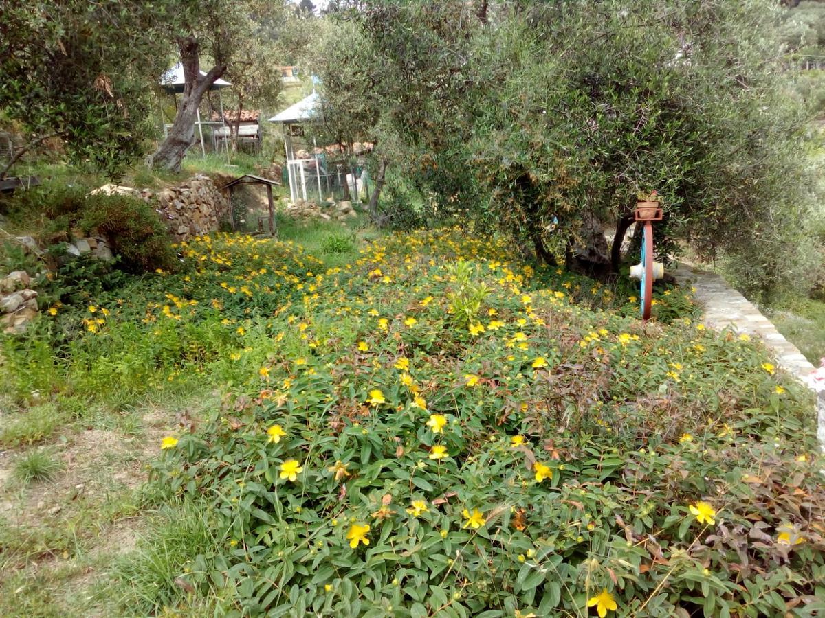 Villa Imperia Exterior photo
